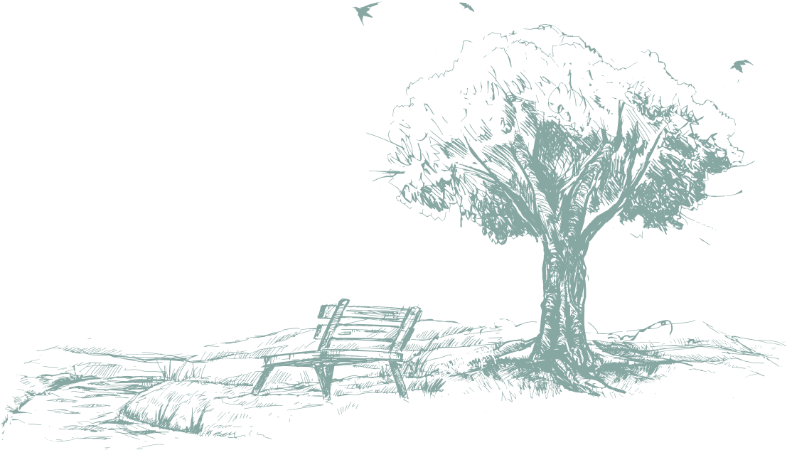 ławka pod drzewem