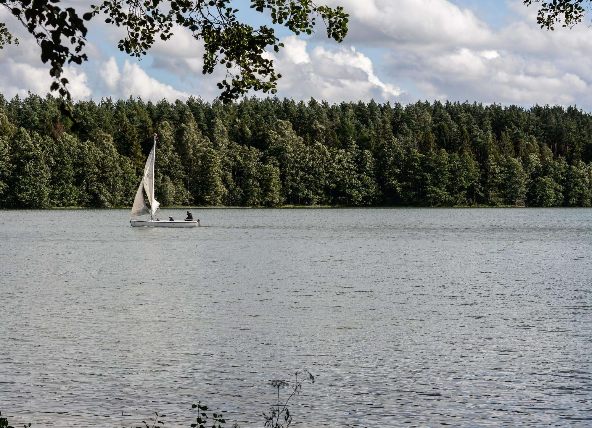 Mały żaglowiec na jeziorze z gęstym lasem w tle i chmurami na niebie